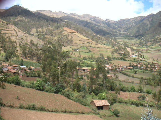 Cachora Cachora